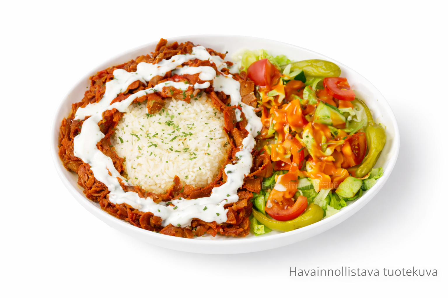 Kebab Riisilla